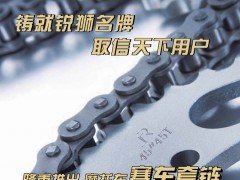 前彩5   湖州双狮链传动有限公司