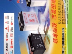 前彩20  漳州市常山力源电源有限公司