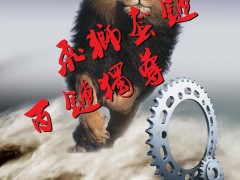 后彩48  重庆市飞狮动力机械有限公司