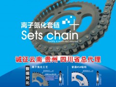 后彩88 广州伟龙动力机车部件有限公司