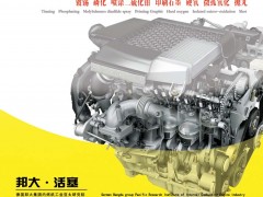 中彩1  山东邦大内燃机股份有限公司