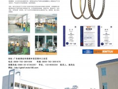 中彩8  清远市万里丰活塞环有限公司