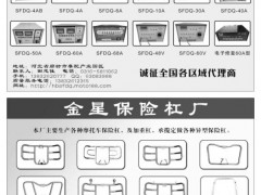 30   圣飞电器充电机系列/金星保险杠厂