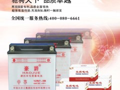 后彩46  重庆天箭电池有限公司