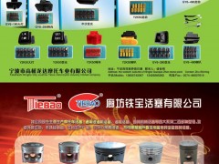 后彩54  宁波市高桥龙达摩托车业有限公司/廊坊铁宝活塞有限公司